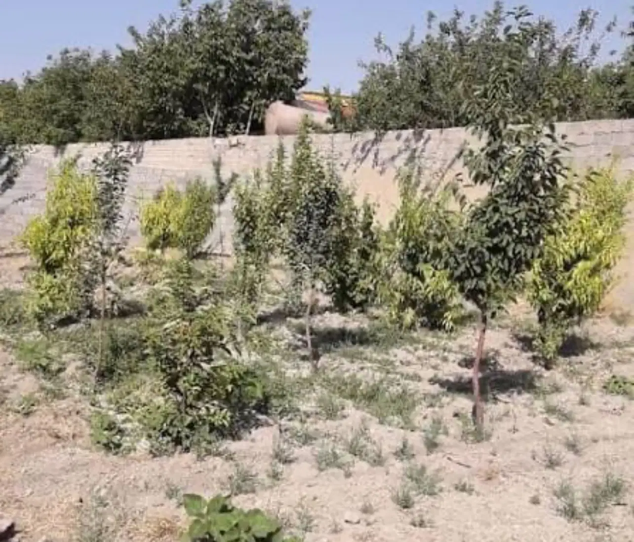 فروش زمین قطعه بندی شده _مناسب سرمایه گذاری