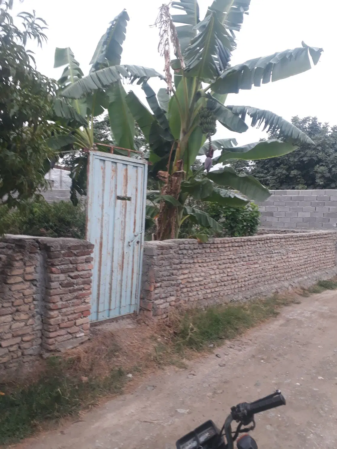 زمین باغی مسکونی