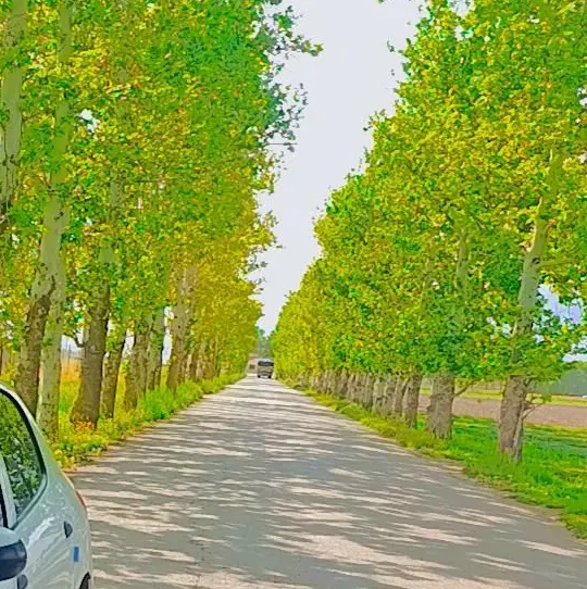 ۵۰۰متر باغ شهری حسن آباد سنجرلو