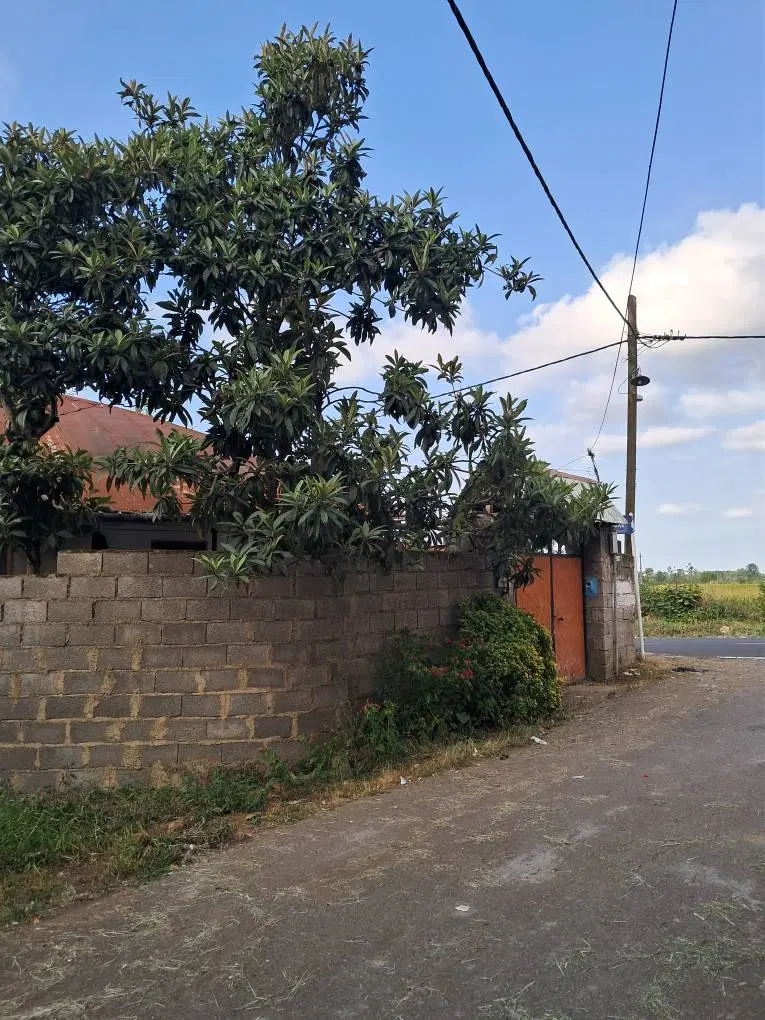 یک واحد مسکونی ویلایی در روستاهای  املش