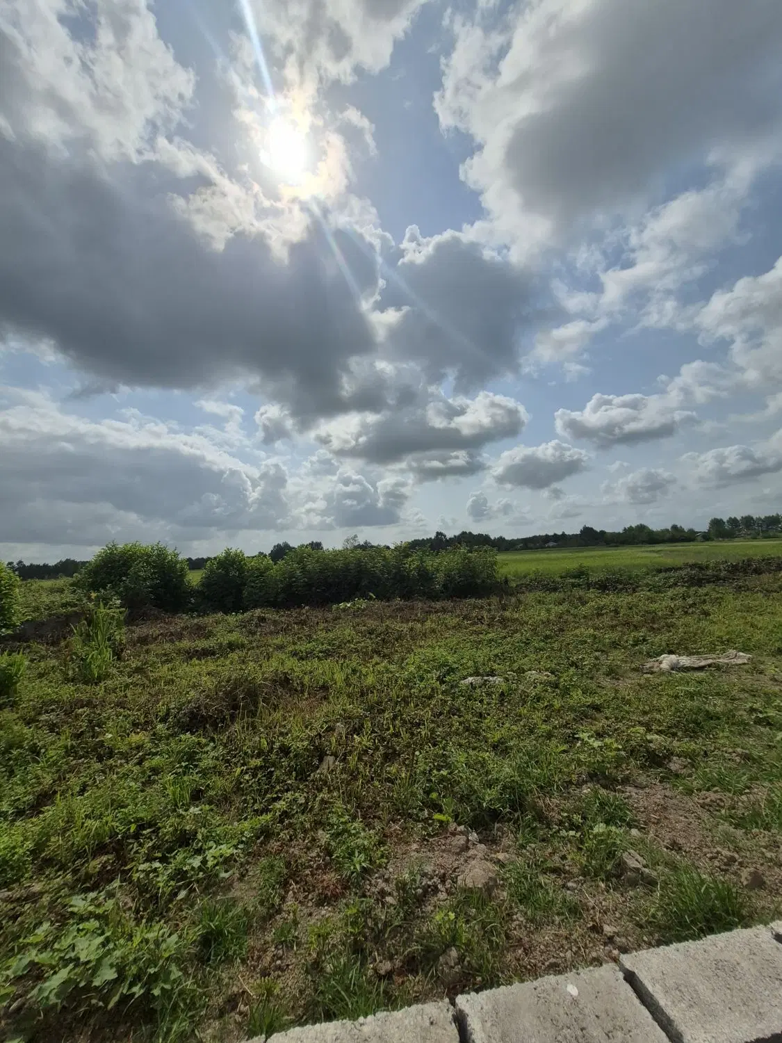 زمین مسکونی گیلوا