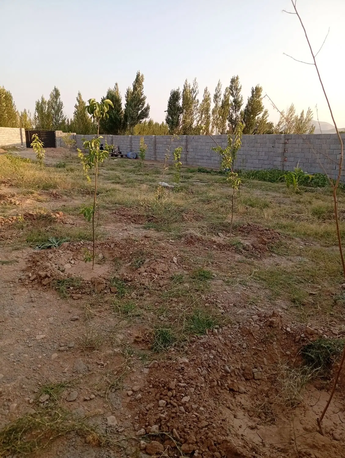 باغ در اسپران کوی آب معدنی