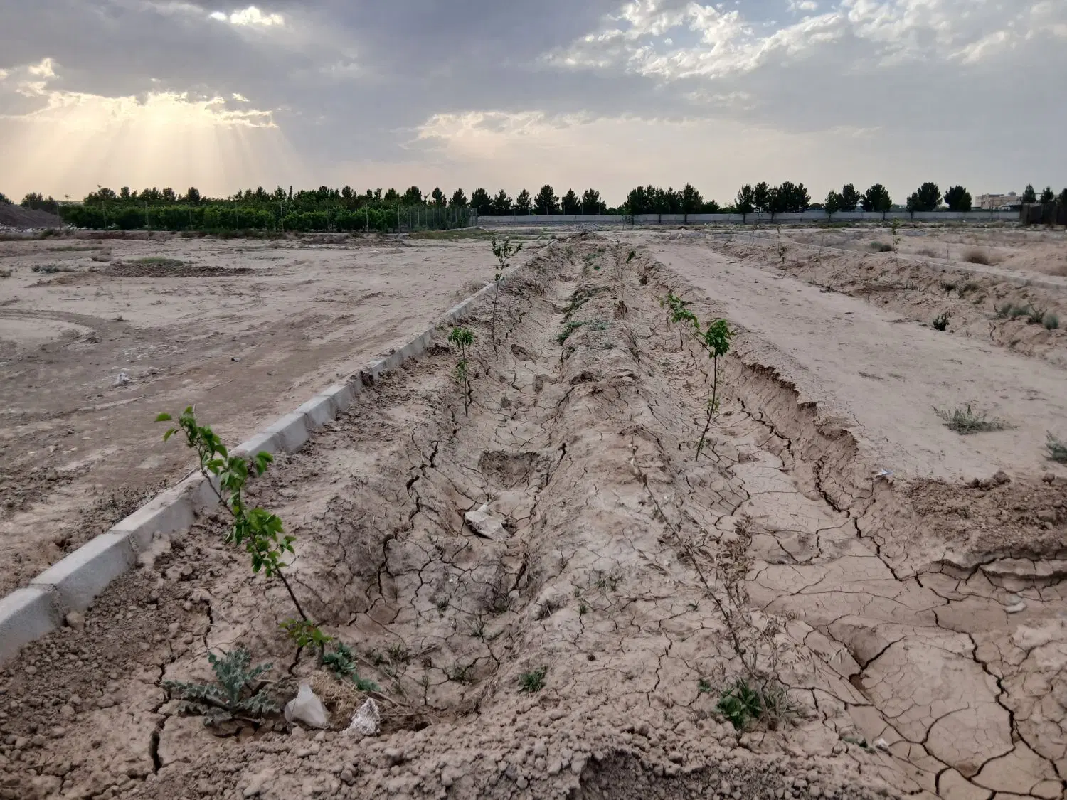 باغچه رباط کریم