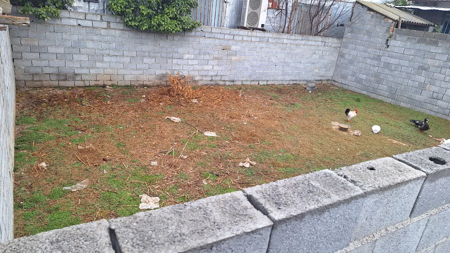 فروش زمین مسکونی