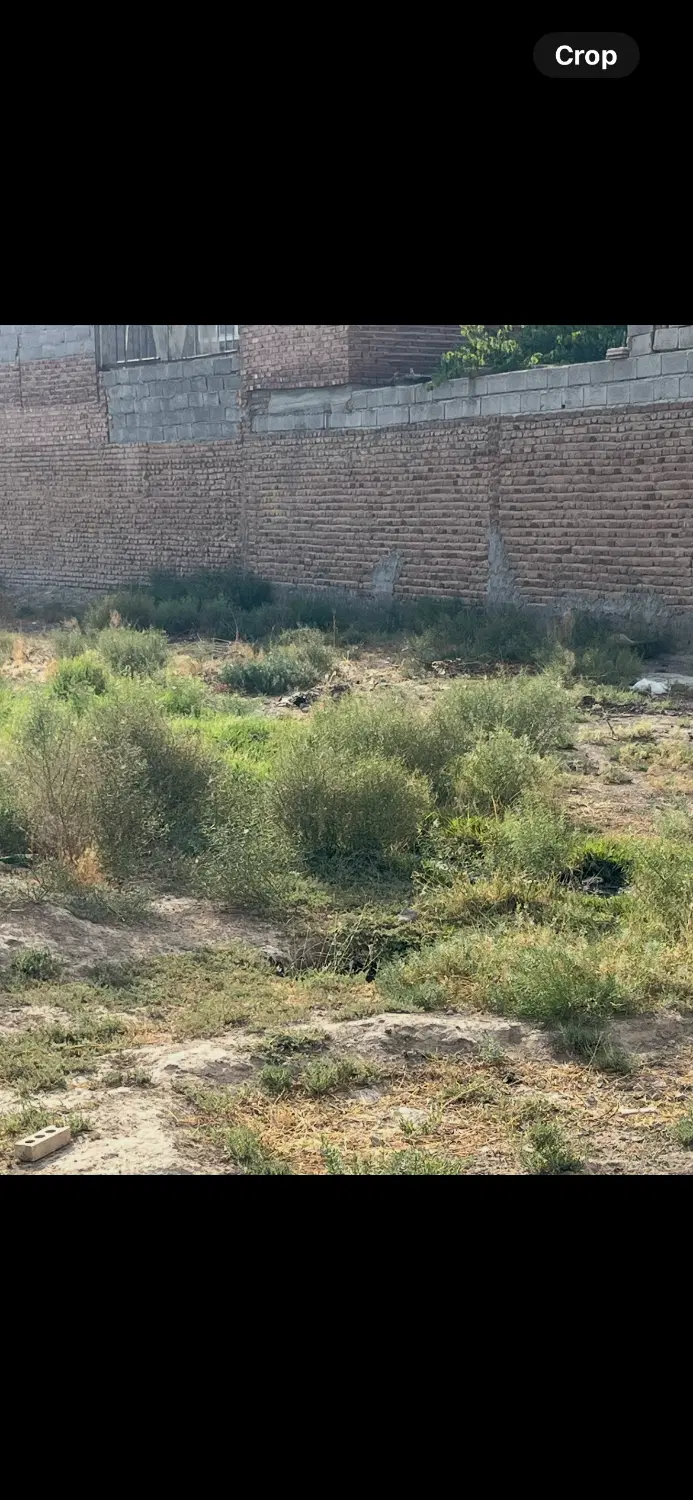 زمین مسکونی خسروشاه خسروشهر