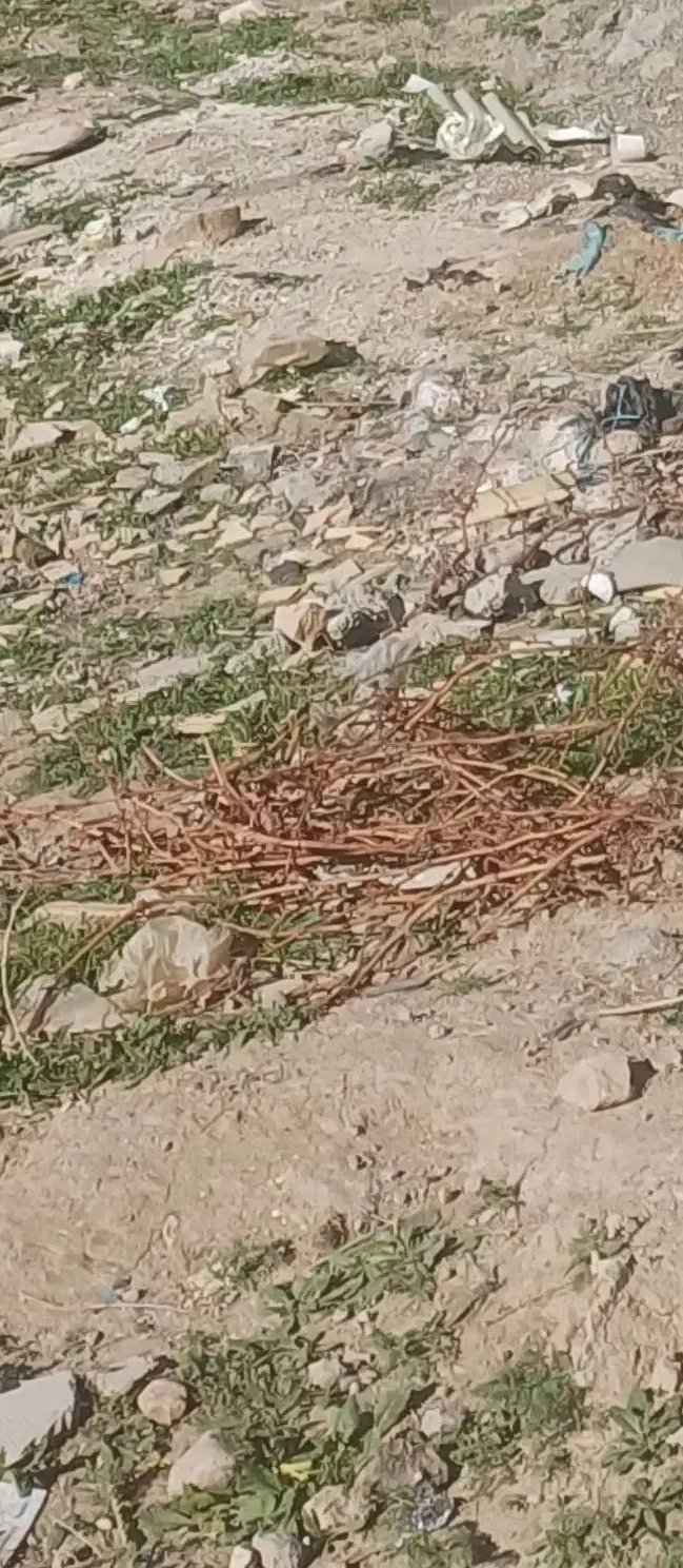 قطعه ۱۲۰متری اول چاوان کوی عمارت