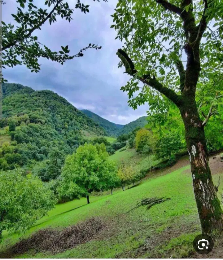۱۸۵متر  چشم انداز ابدی جنگل در قلب تهران