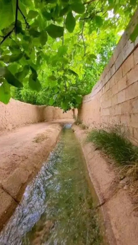 زمین کوهپایه