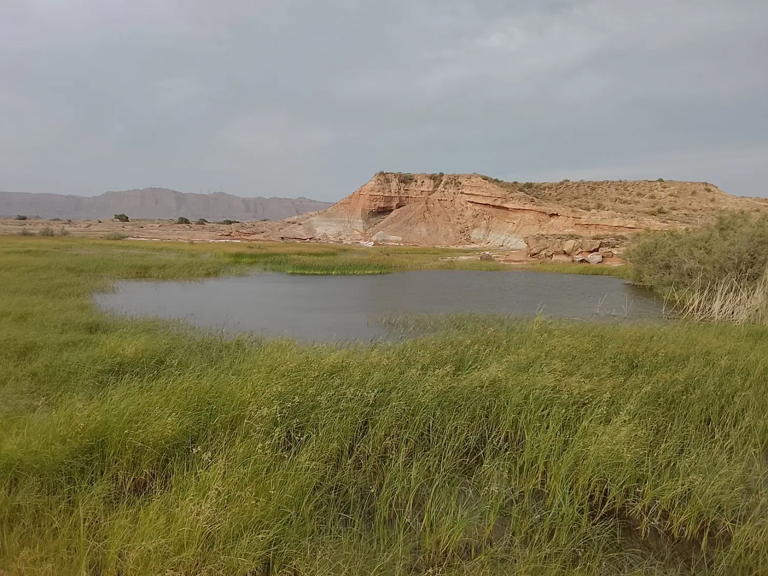 فروش زمین باغی بینک