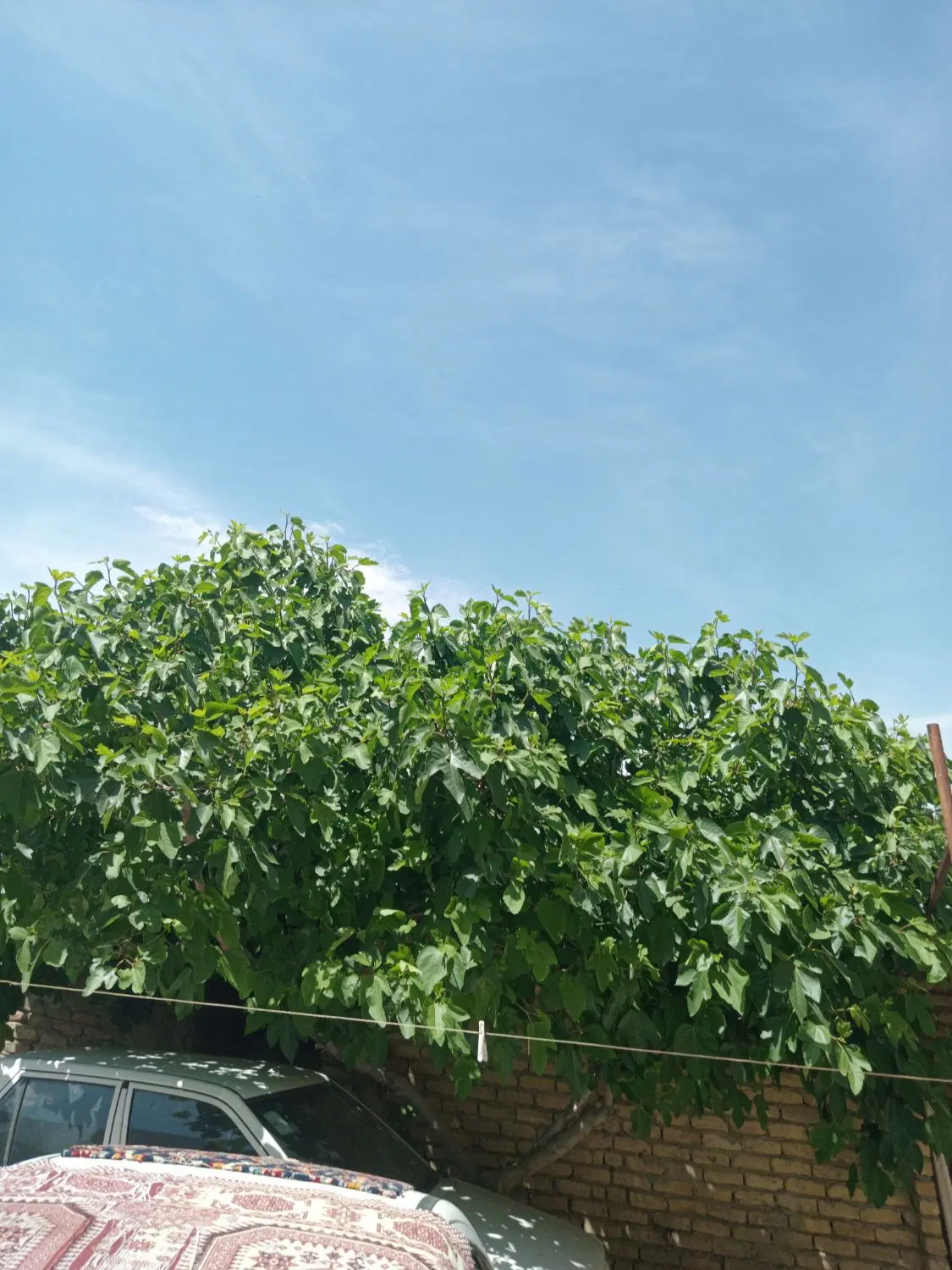 خانه رهن واجاره طبقه دوم زیربنا۸۵متر