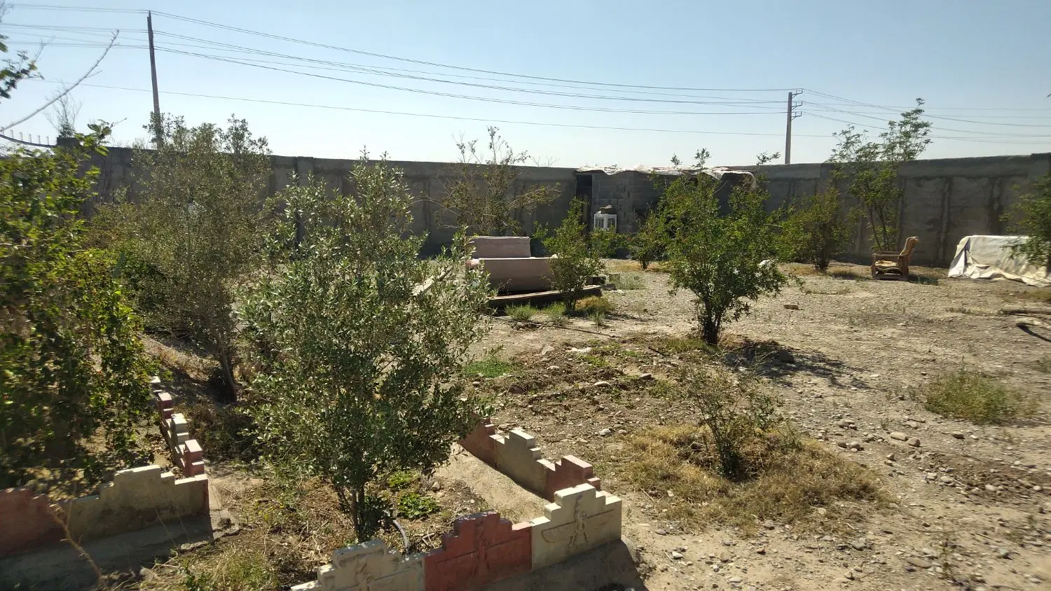 باغچه سند دار با درختان میوه واب برق