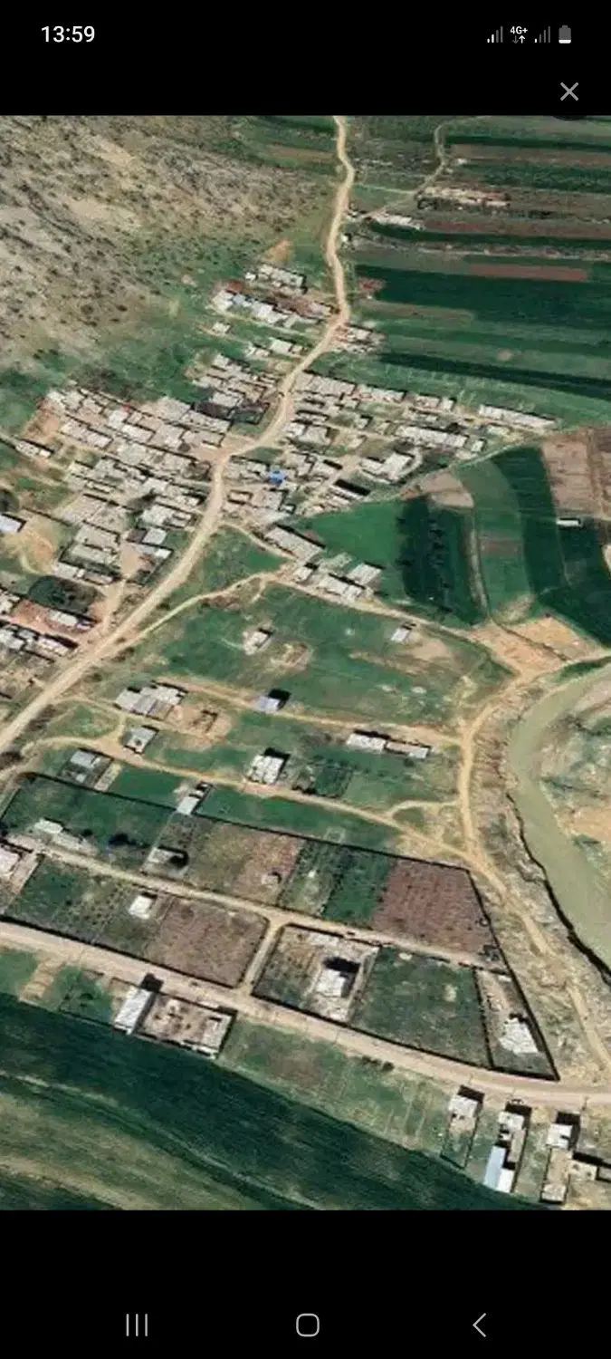 زمین پاپی خالدار سفلی