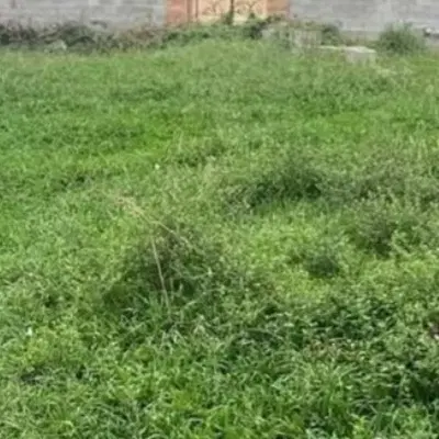زمین مسکونی با مجوز ساخت ساز