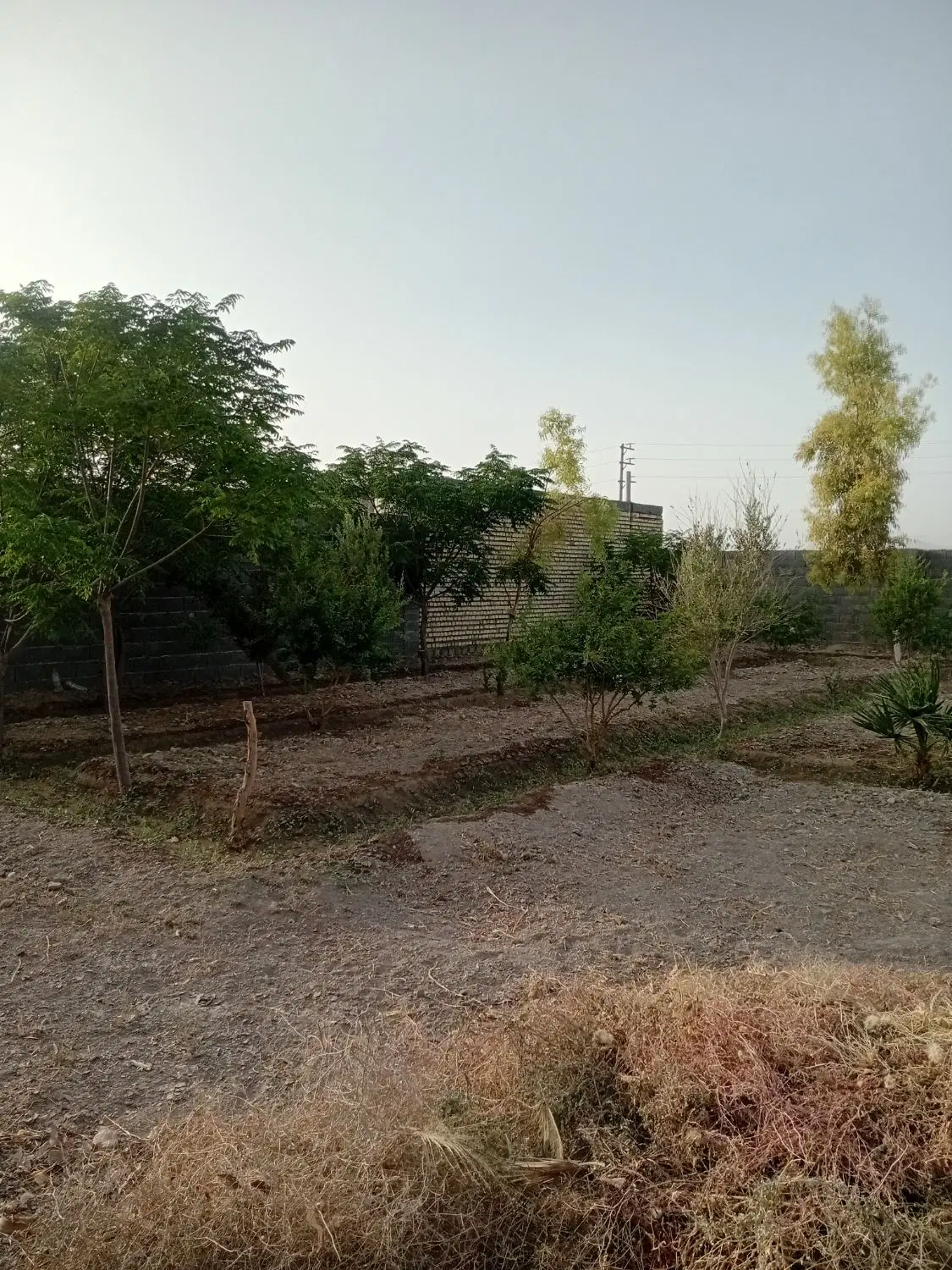 باغ