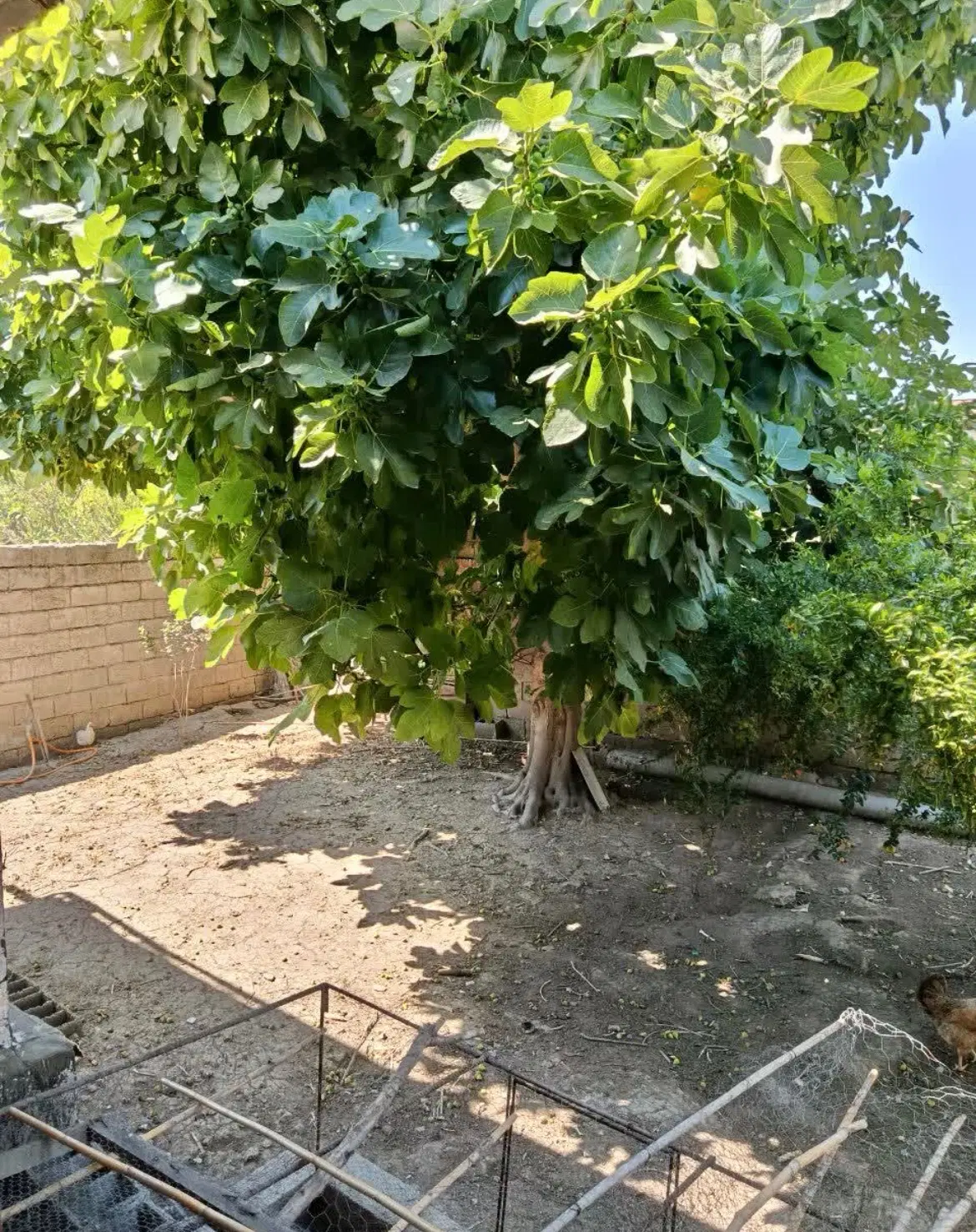۵۰۰متر زمین