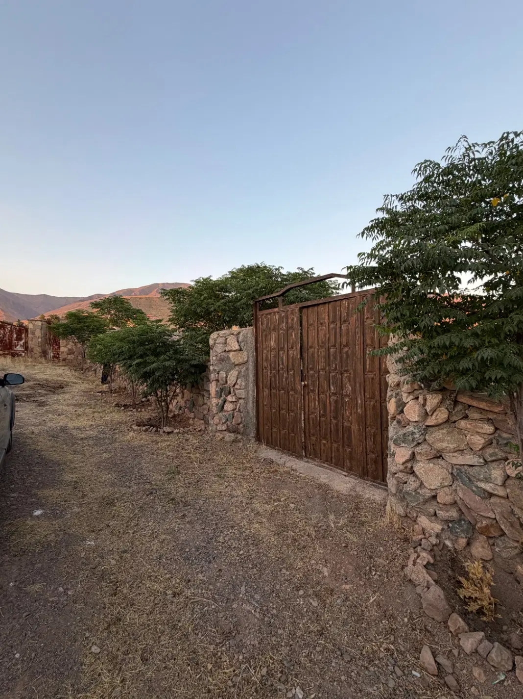 باغ زمین