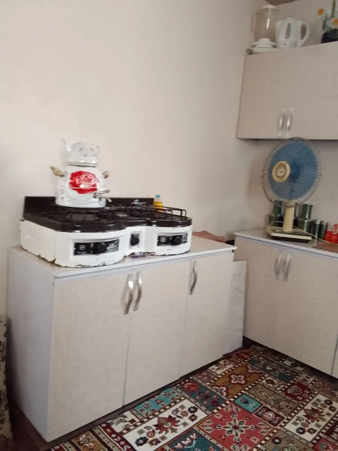 ۵۰۰۰هزارمترباغ انگوروگردو