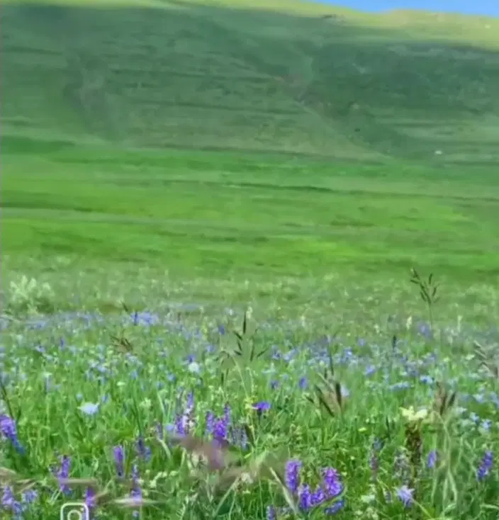 زمین نایسر200زمین