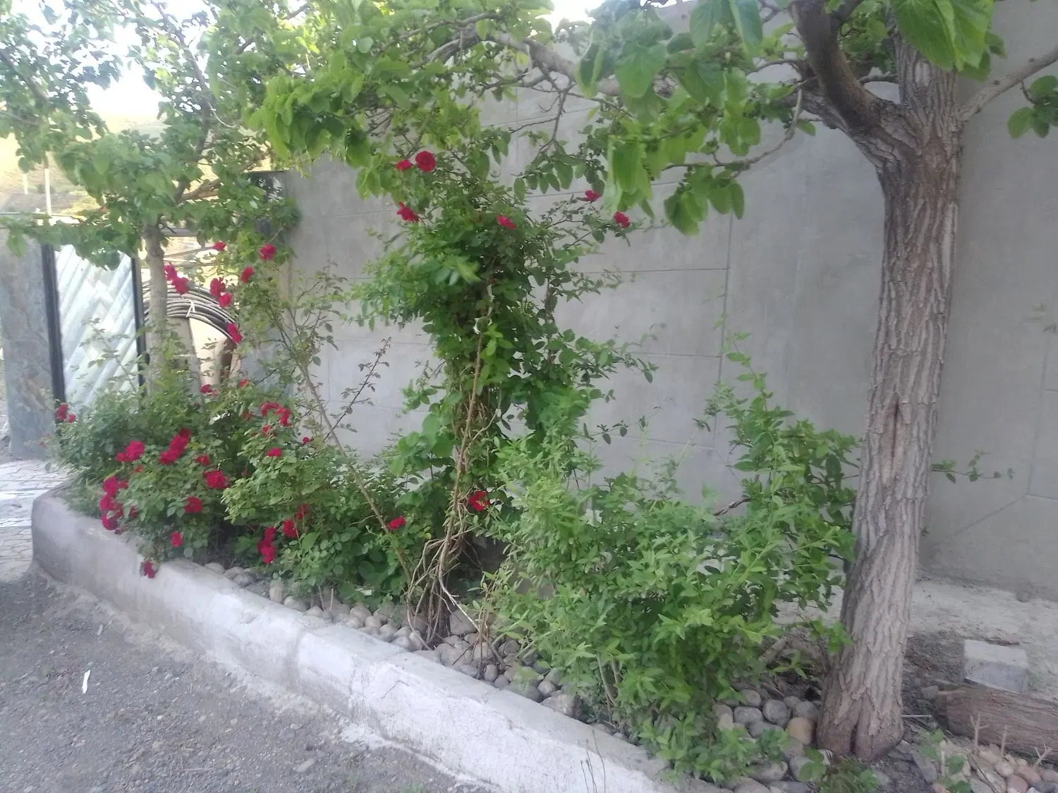 ویلا رو به دره
