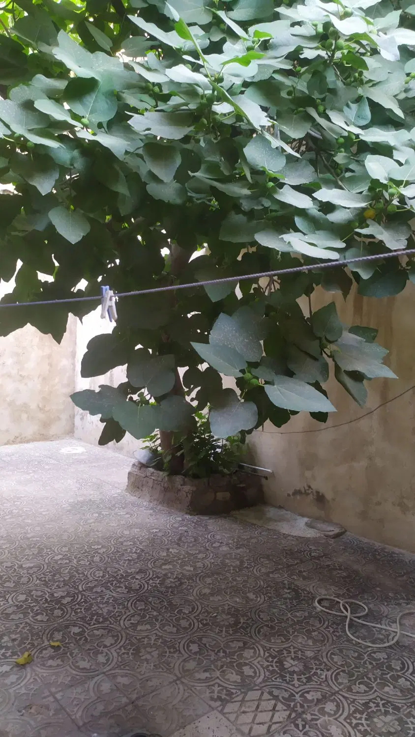 فروش خانه ویلایی