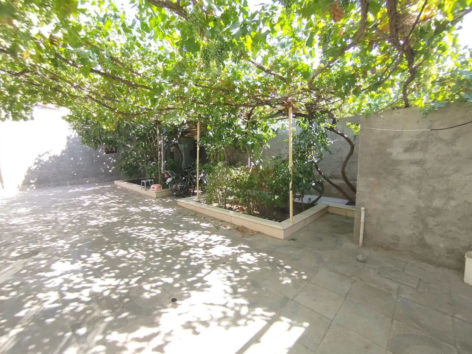 خونه ویلایی دلباز و سرسبز