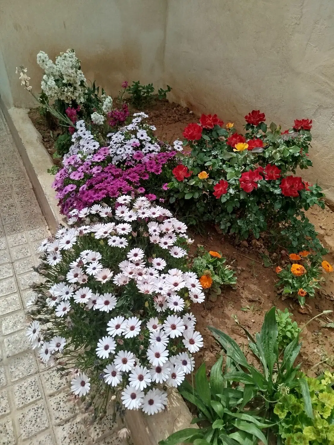 اجاره خونه ویلایی دربست۱۵۰متر
