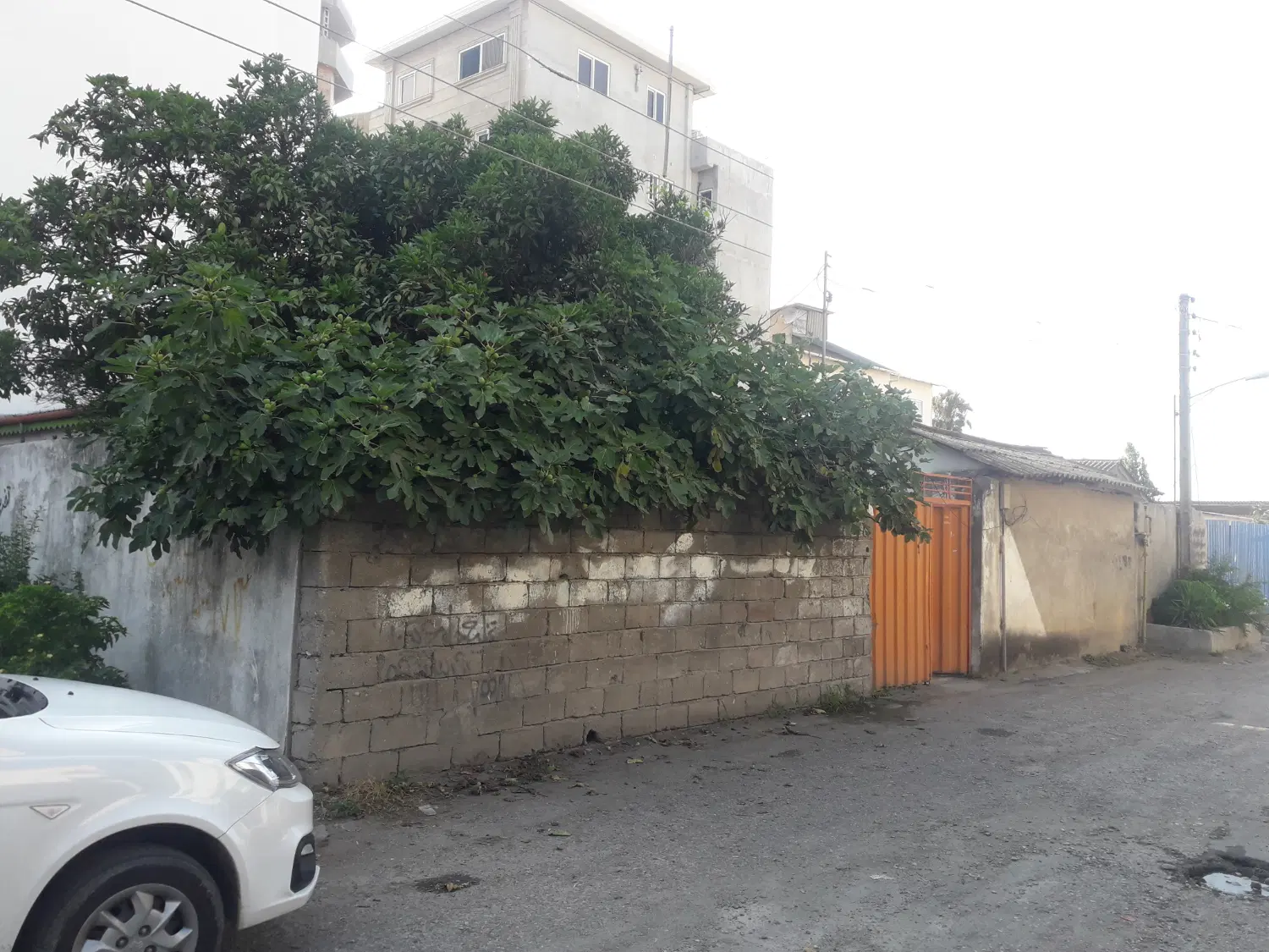 ۲۸۵ متر زمین ساحلی با ویلا با فاصله ۴۰ متری ادریا