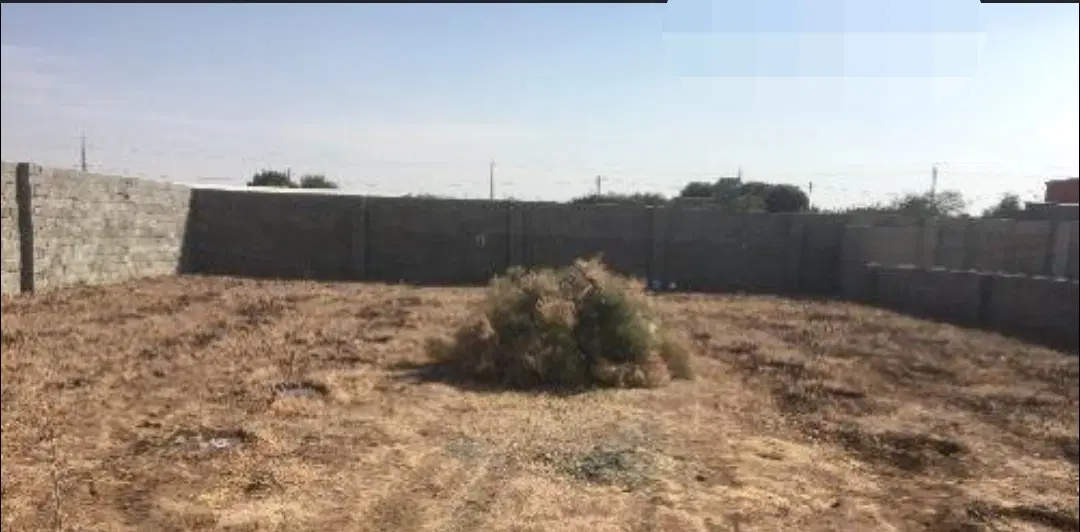 زمین مقسم