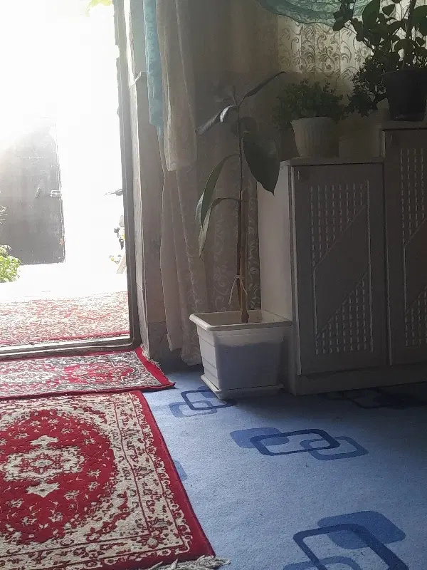 زمین فروشی