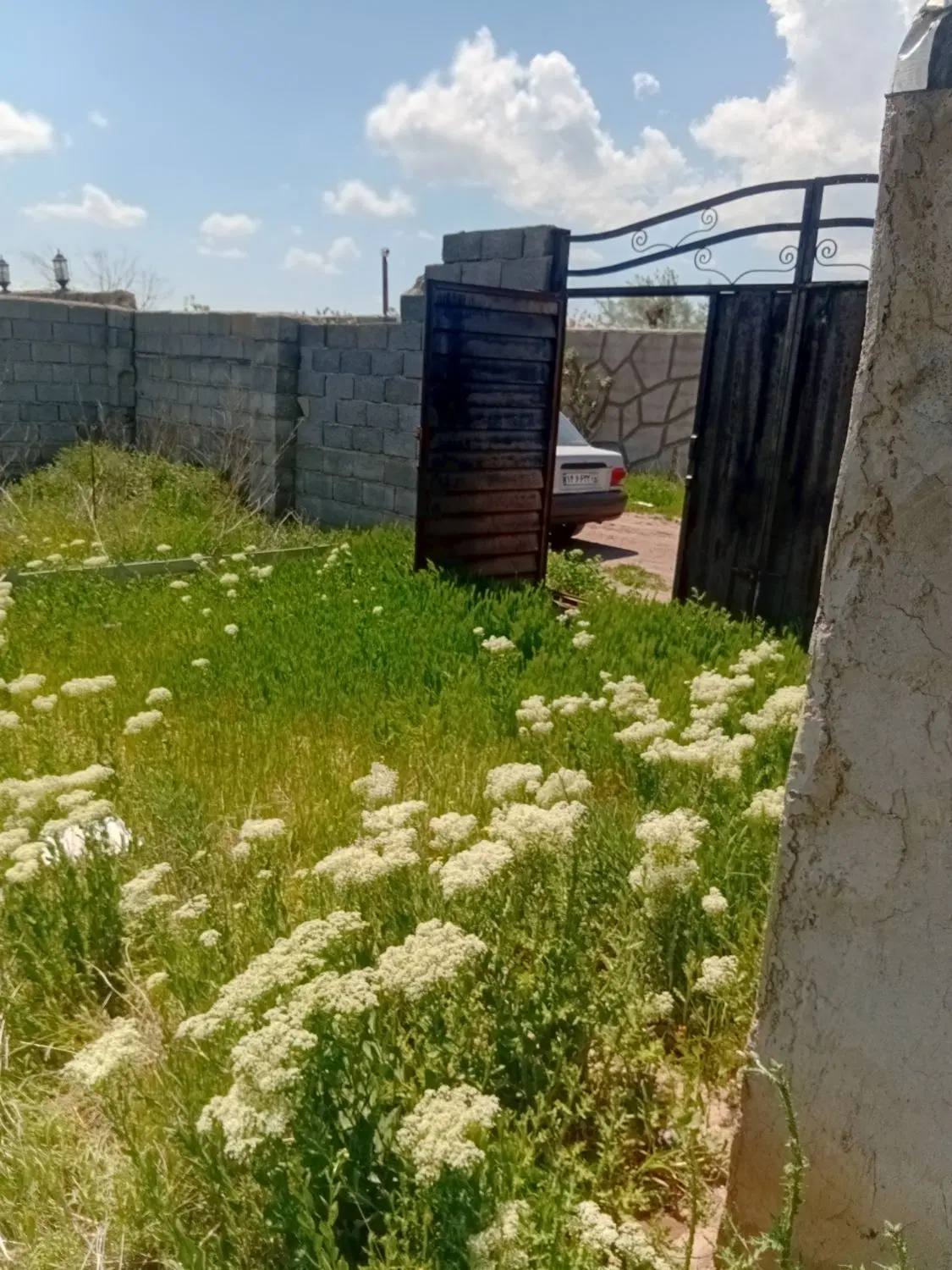 باع