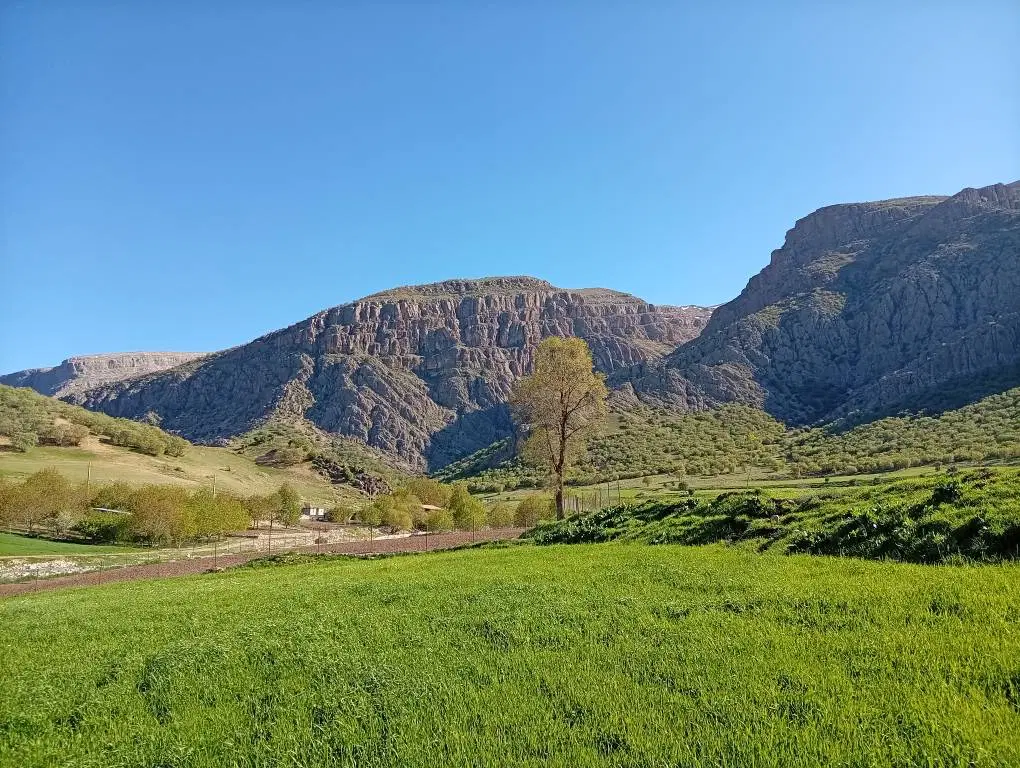 فروش زمین کشاورزی دراسبر