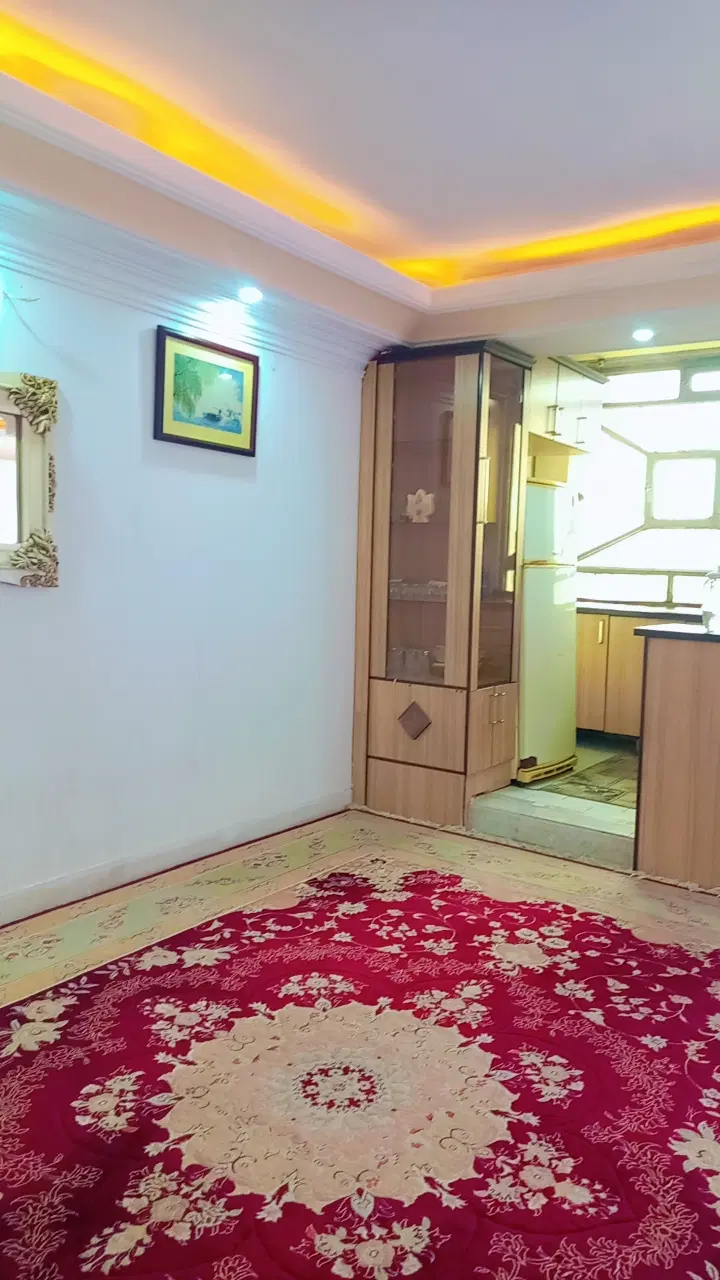 خونه دارم... همخونه‌خانم هستم خانم میخوام