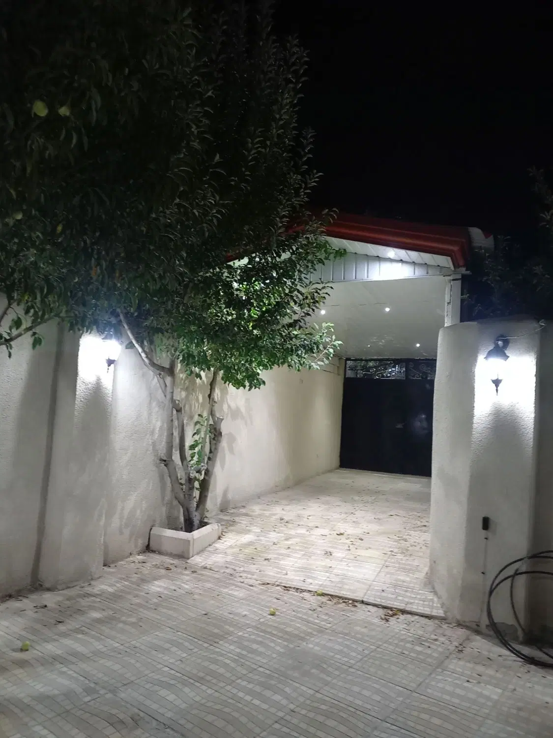باغ حیدره