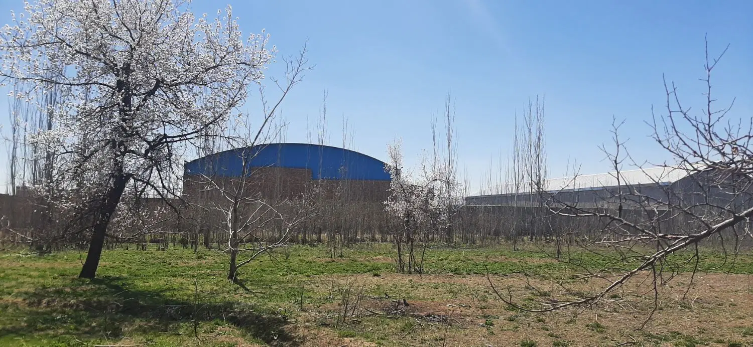 زمین در اول اتوبان شهید کلانتری