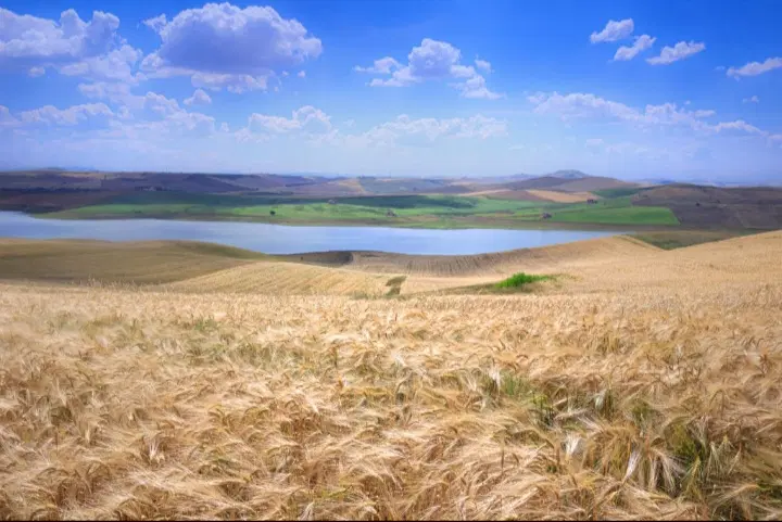 «فرصت طلایی معاوضه ویژه زمین.یک فرصت، یک انتخاب»