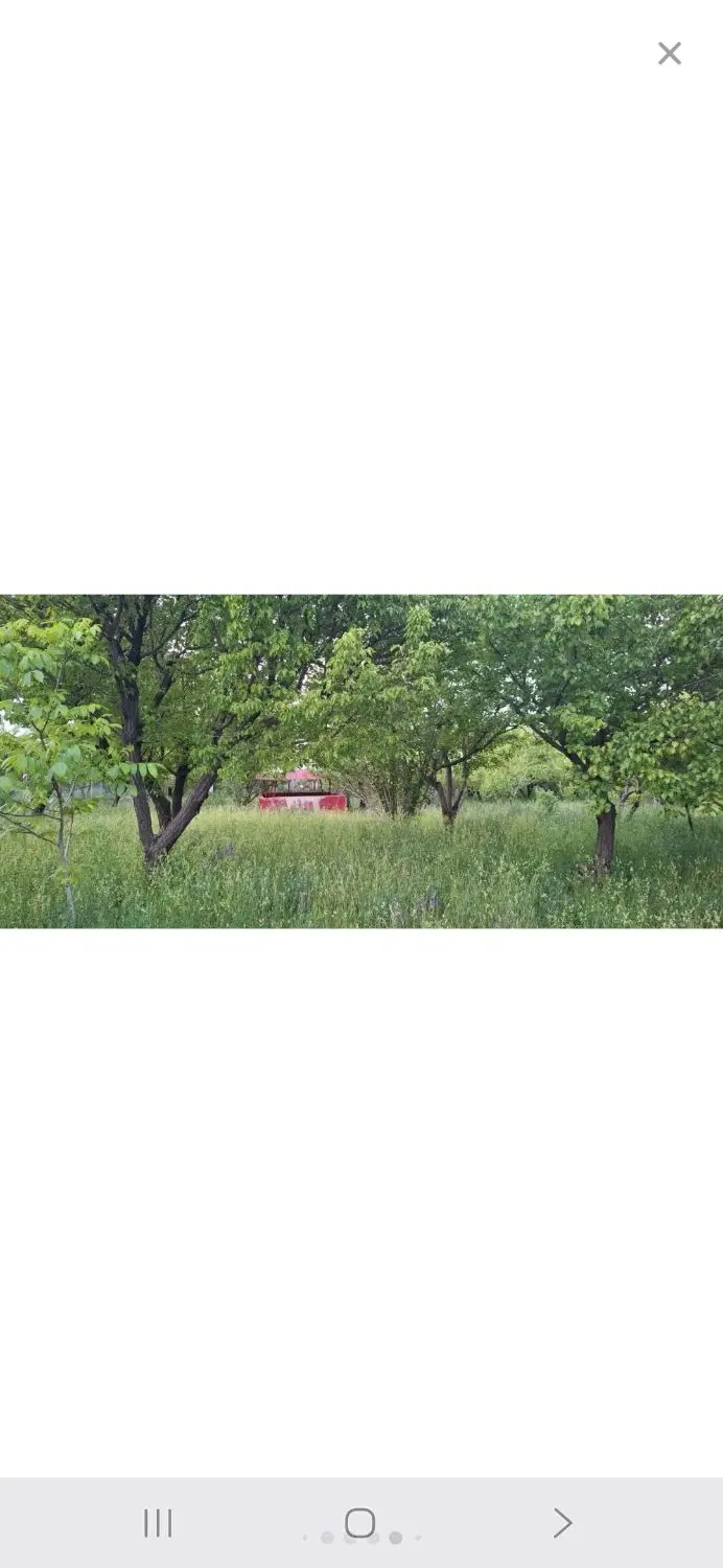 باغ شهر در شهر زنجان با اب و هوای خوب وآب دائمی .