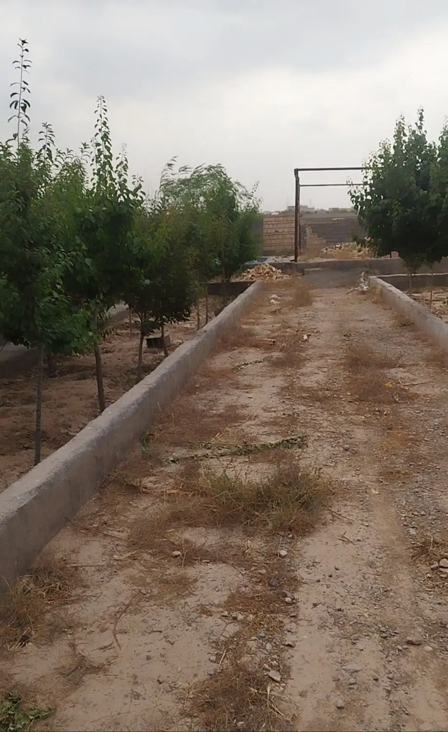 باغ ویلافروشی