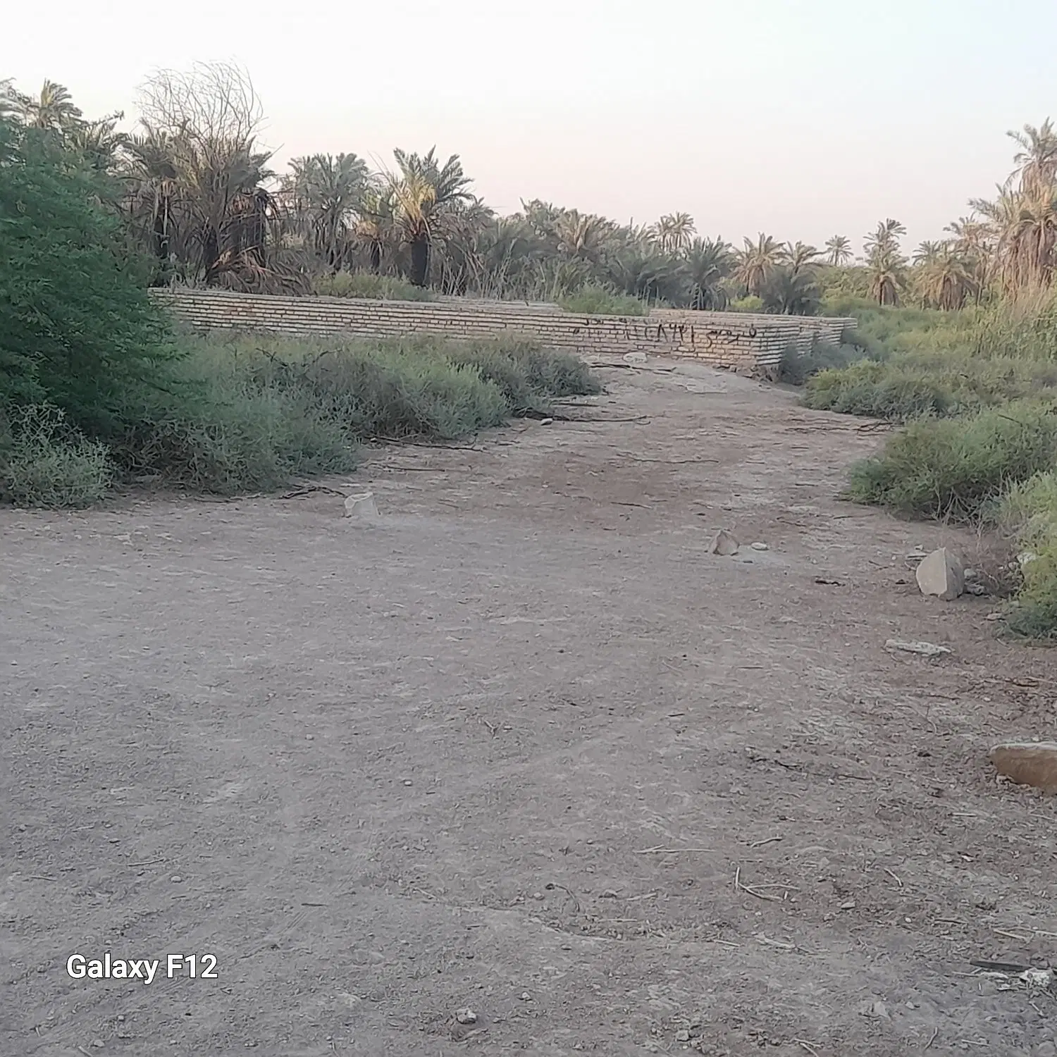 زمین ۱۰۰متری