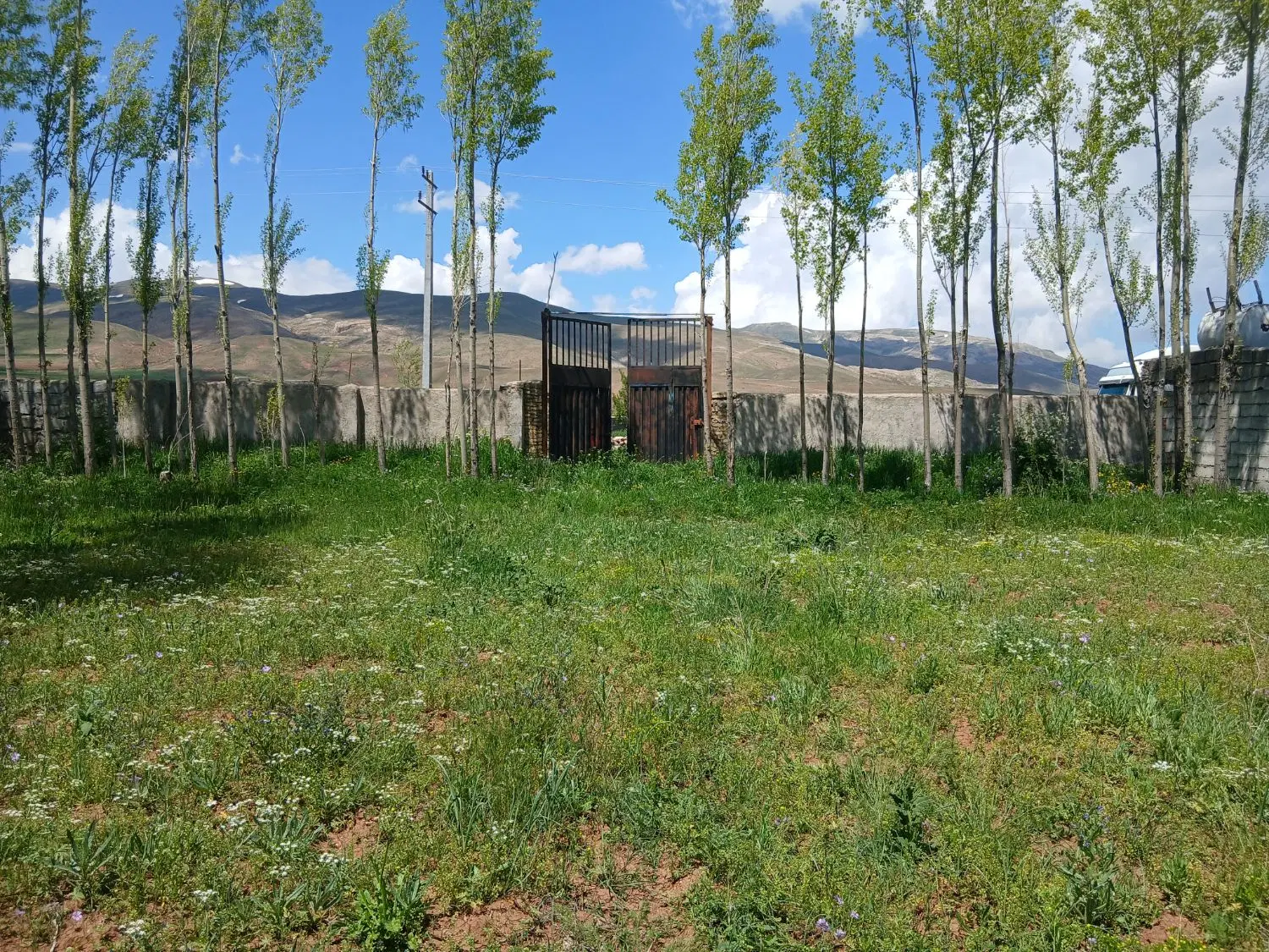 خوب