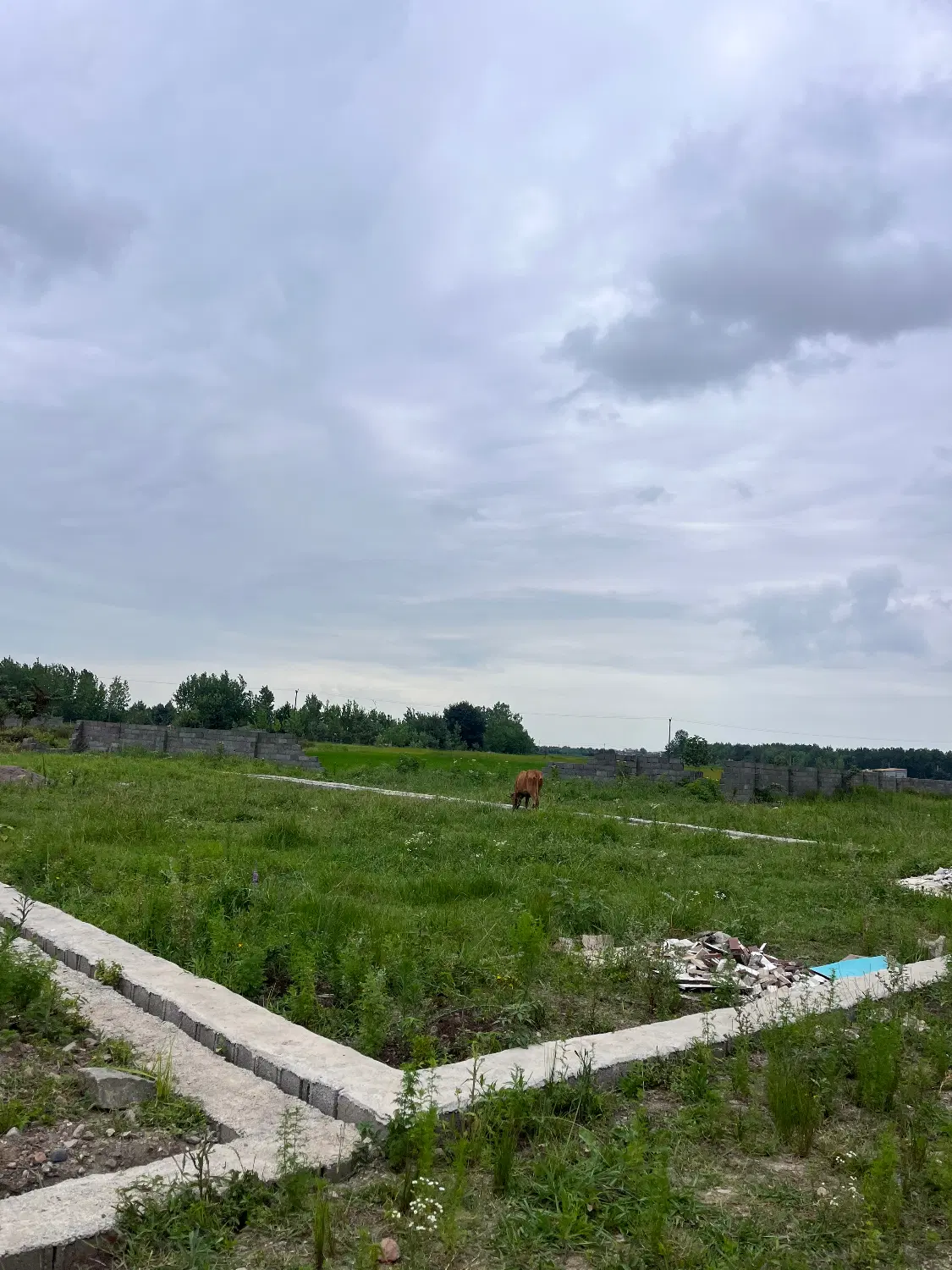 زمین سند دار واقع در رشت