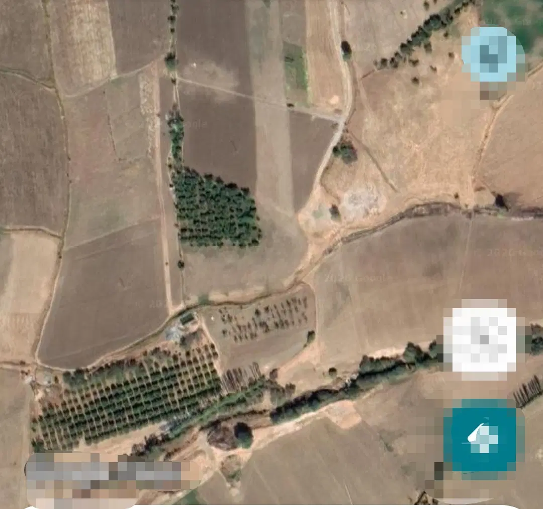 زمین کشاورزی
