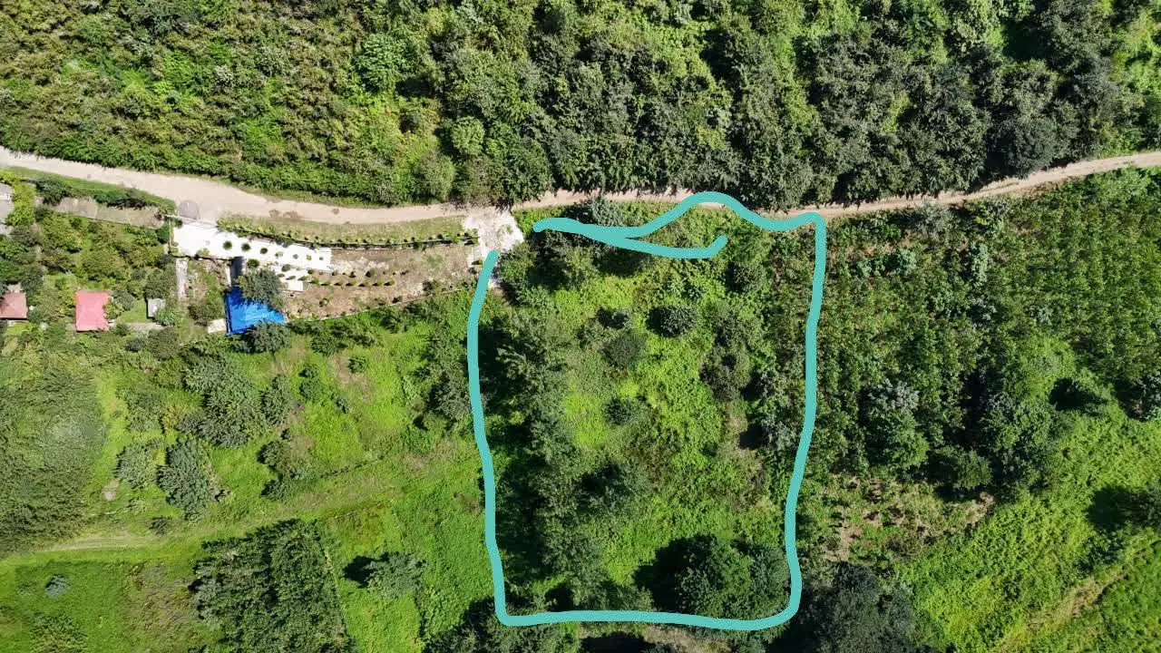 فروش اقساطی زمین