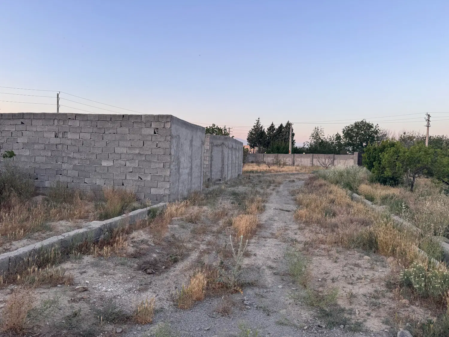 زمین باغی تو مجموعه