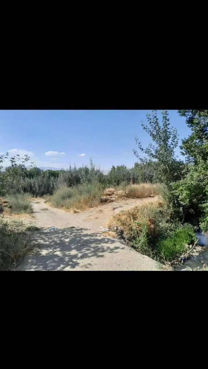 فروش بیشه زار ( مشه ) در روستای بدلبو