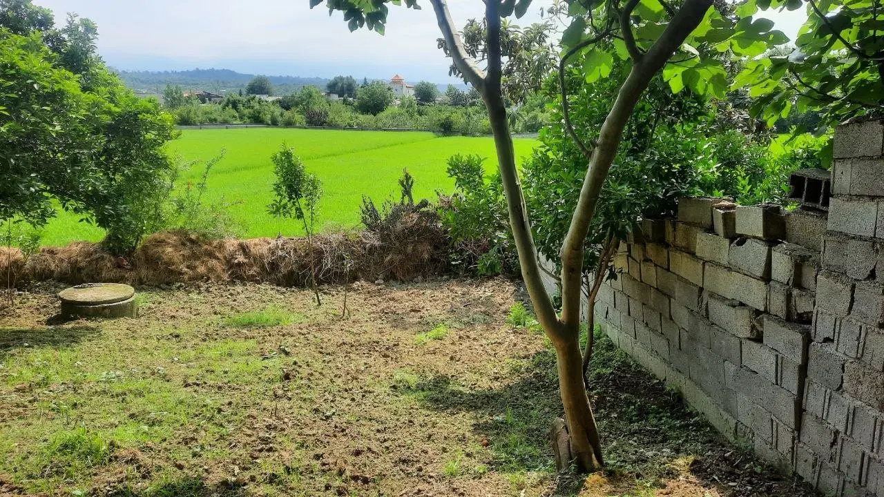 یک تکه آرامش واقعی در شمال ، با امکانات شهری