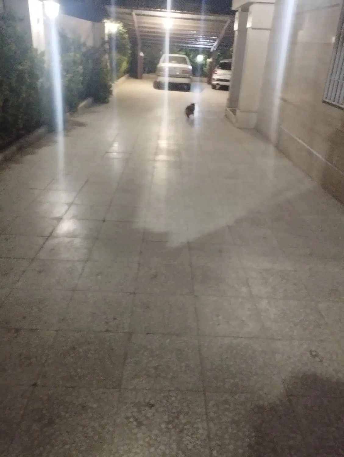گاراژ
