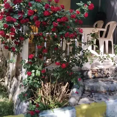 اجاره ویلا روزانه کوتاه مدت