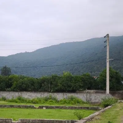 زمین سند تگ برگ داخل بافت دارای جواز ساخت