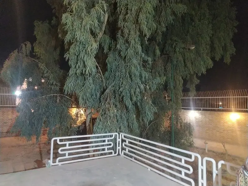 اجاره روزانه ویلایی