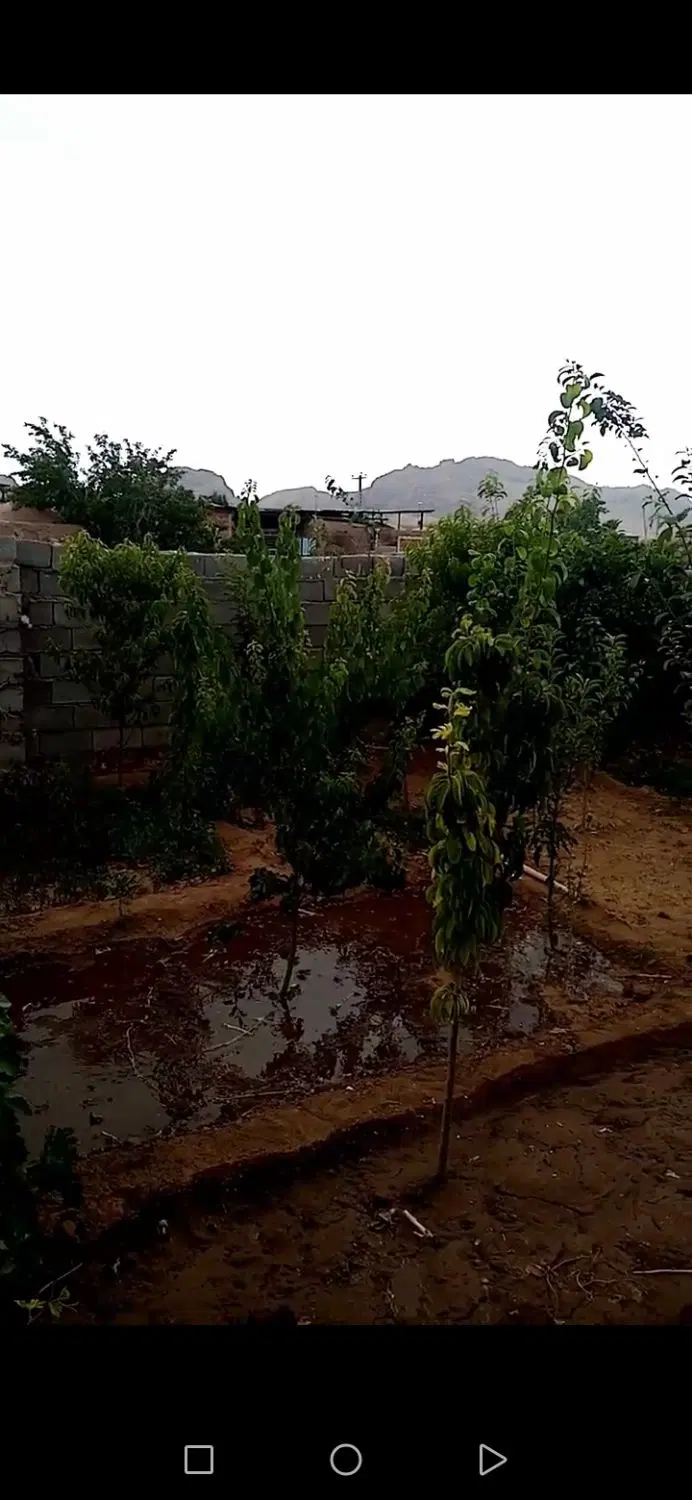 خانه ویلایی 15قصب زیربنا 150متر